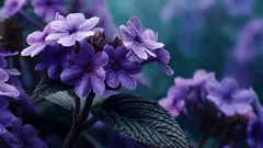 Varken lavendel eller jasmin: växten som doftar vanilj och som nästan ingen känner till