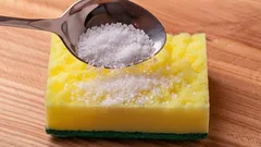 Så här blir du av med överflödig fukt i kylskåpet: kom ihåg det här knepet med en svamp och salt