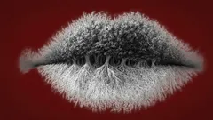 Personlighetstest: det du ser först i bilden kan avslöja om du är introvert eller extrovert